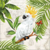 Cockatoo papírszalvéta 33x33cm, 20db-os