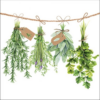 Fresh Herbs papírszalvéta 33x33cm, 20db-os