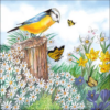 Bird Watching papírszalvéta 33x33cm, 20db-os