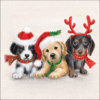 Sweet Dogs papírszalvéta 33x33cm, 20db-os