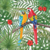 Parrots papírszalvéta 33x33cm, 20db-os