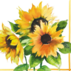 Girasoli papírszalvéta 33x33cm, 20db-os