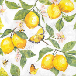 Fresh lemons papírszalvéta 33x33cm, 20db-os