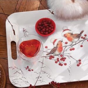 Christmas robins