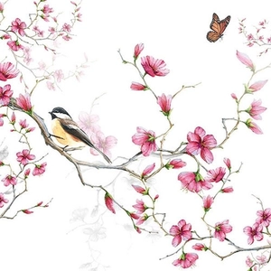 Bird &  Blossom white papírszalvéta 33x33cm, 20db-os