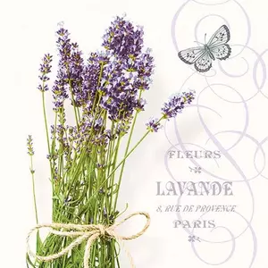 Bunch of Lavender papírszalvéta 33x33cm, 20db-os