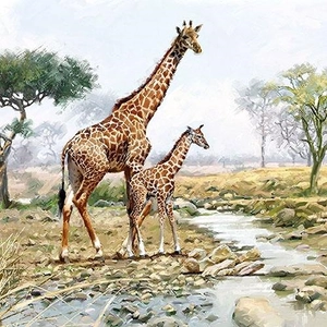 Giraffes papírszalvéta 33x33cm, 20db-os