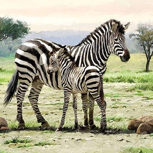 Zebras papírszalvéta 33x33cm, 20db-os