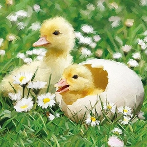 Húsvéti papírszalvéta 33x33cm, 20db-os - Newborn Chicks