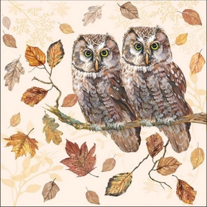 Owl Couple papírszalvéta 33x33cm, 20db-os
