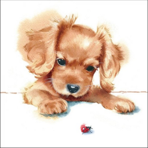 Puppy &amp; Ladybird papírszalvéta 33x33cm, 20db-os