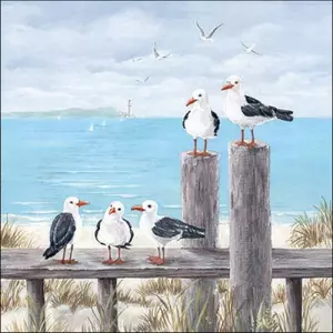 Papírszalvéta 33x33cm, 20db-os - Seagulls on the dock