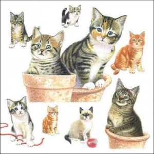 Cute kittens papírszalvéta 33x33cm, 20db-os