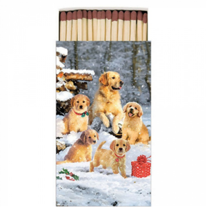 Golden retriever puppies gyufa