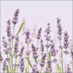 Papírszalvéta 33x33cm, 20db-os - Lavender Shade lila