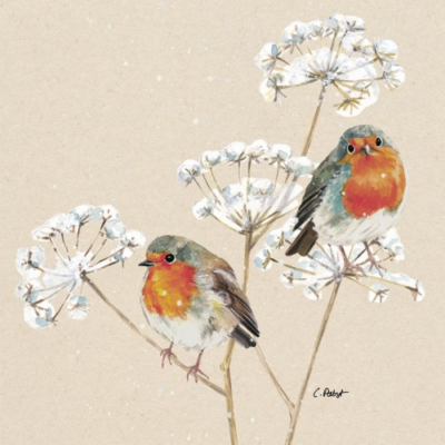 Solitude papírszalvéta 33x33cm, 20db-os