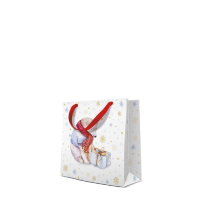Surprise for Teddy papír ajándéktáska CD-s 17x17x6cm
