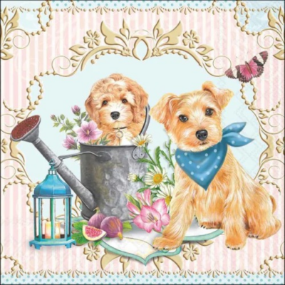 Dogs in garden papírszalvéta 33x33cm, 20db-os