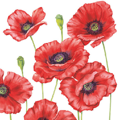 Romantic Poppy papírszalvéta 33x33cm, 20db-os