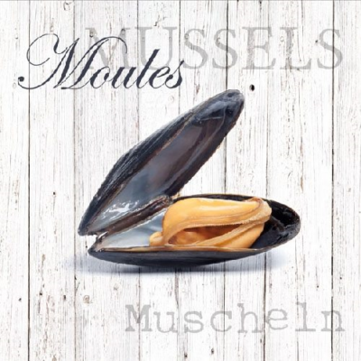 Moules papírszalvéta 33x33cm, 20db-os