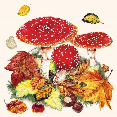 Fly Agaric papírszalvéta 33x33cm, 20db-os