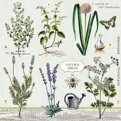 Herbs Garden papírszalvéta 33x33cm, 20db-os