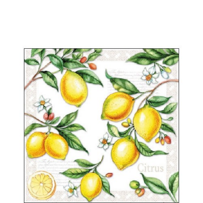 Citrus papírszalvéta 25x25cm, 20db-os
