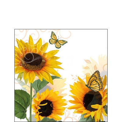 Sunny Butterfly papírszalvéta 25x25cm, 20db-os
