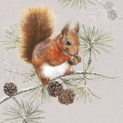 Squirrel In Winter papírszalvéta 33x33cm, 20 db-os