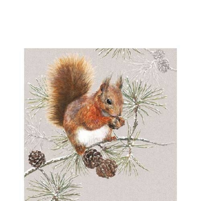 Squirrel In Winter papírszalvéta 25x25cm, 20 db-os