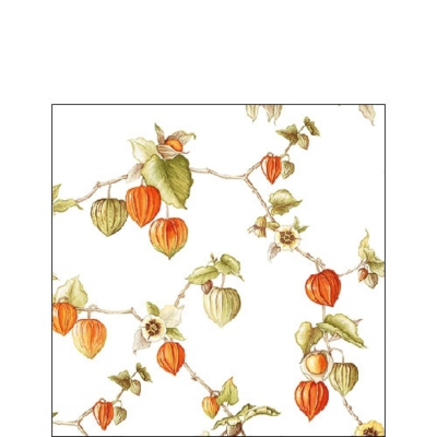 Lampion papírszalvéta 25x25cm, 20db-os