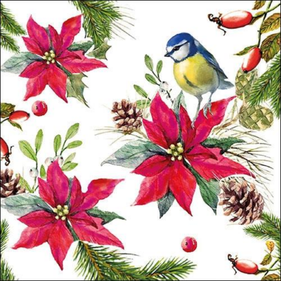 Bird on Poinsettia white papírszalvéta 33x33cm, 20 db-os
