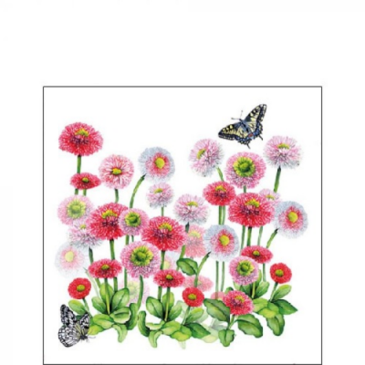 Bellis papírszalvéta 25x25cm, 20db-os