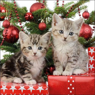 Christmas Kitten papírszalvéta 33x33cm, 20 db-os