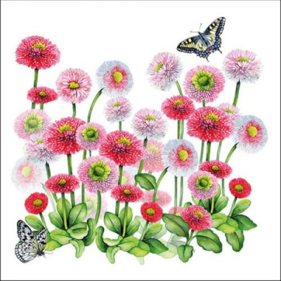 Bellis papírszalvéta 33x33cm, 20db-os