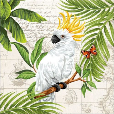 Cockatoo papírszalvéta 33x33cm, 20db-os