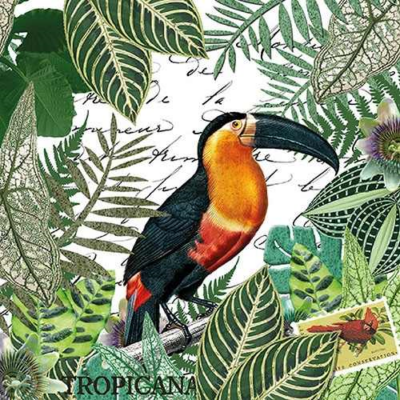 Tropicana papírszalvéta 33x33cm, 20db-os