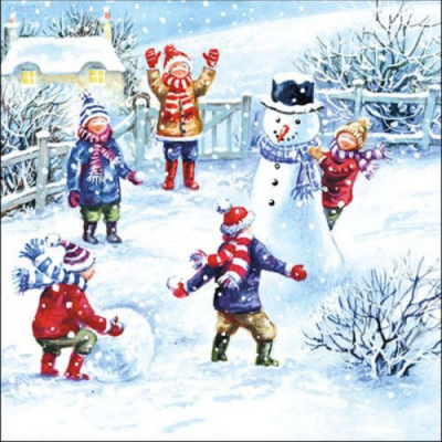 Snowfun papírszalvéta 33x33cm,  20 db-os