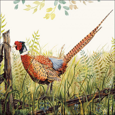 Glorious pheasant papírszalvéta 33x33cm, 20db-os