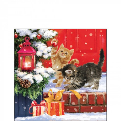 Kittens On Doorstep papírszalvéta 25x25cm, 20db-os