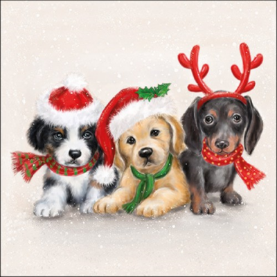 Sweet Dogs papírszalvéta 33x33cm, 20db-os