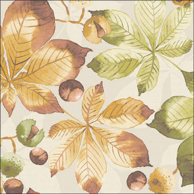 Castanea papírszalvéta 33x33cm, 20db-os