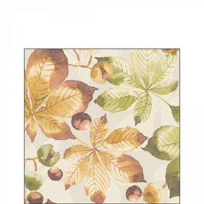 Castanea papírszalvéta 25x25cm, 20db-os