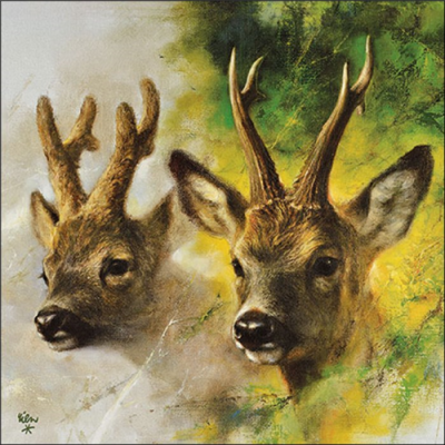 Roebuck papírszalvéta 33x33cm, 20db-os