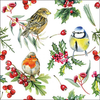 Birds in Winter papírszalvéta 33x33cm, 20db-os