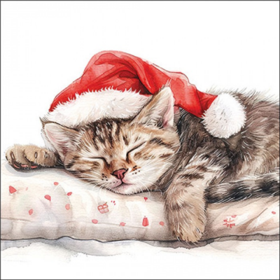 Dreaming about X-Mas papírszalvéta 33x33cm, 20db-os