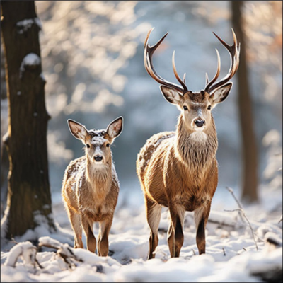 Deer in the forest papírszalvéta 33x33cm, 20db-os