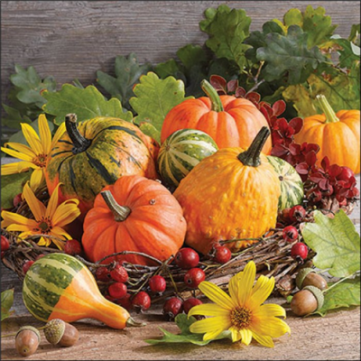 Pumpkin varieties papírszalvéta 33x33cm, 20db-os