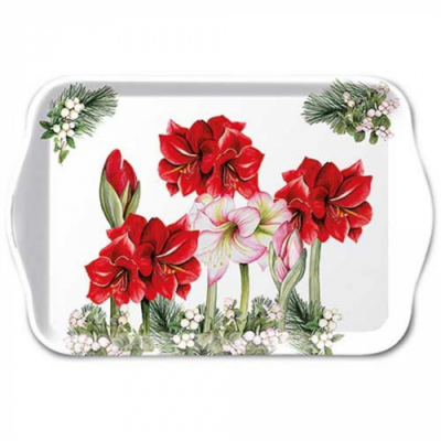 Blooming amaryllis white műanyag kistálca 13x21cm