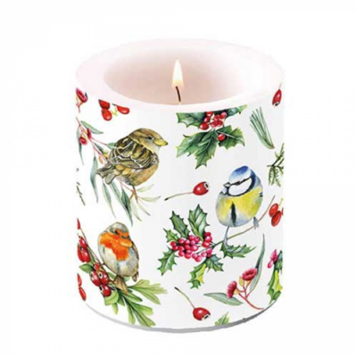 Birds in Winter átvilágítós gyertya 10x10xcm